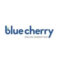Blue Cherry Online Marketing image 1